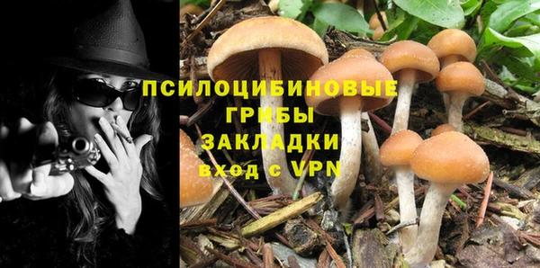скорость Горняк