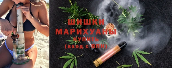 альфа пвп Гусев