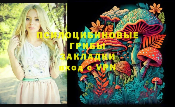 амфетамин Горнозаводск