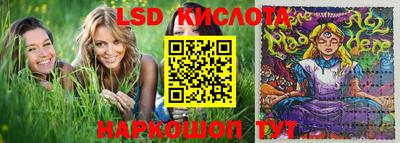 PSILOCYBIN Кулебаки