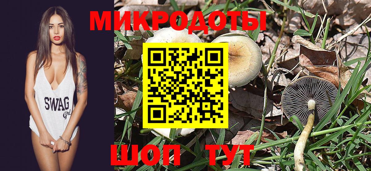 Псилоцибиновые грибы Psilocybe  Дзержинский 