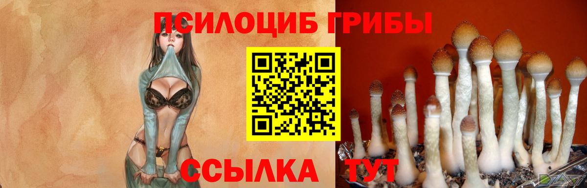 Галлюциногенные грибы прущие грибы Дзержинский